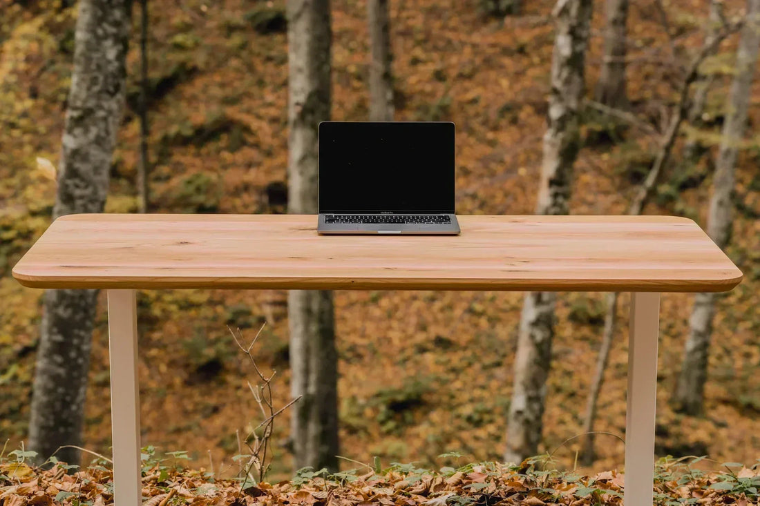 Schreibtischplatte fürs Home Office – Welches Material passt zu dir?